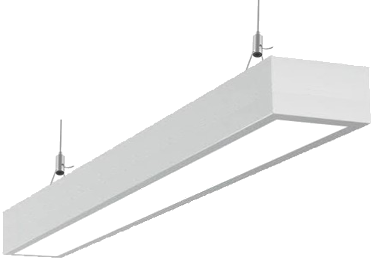NYSA 100