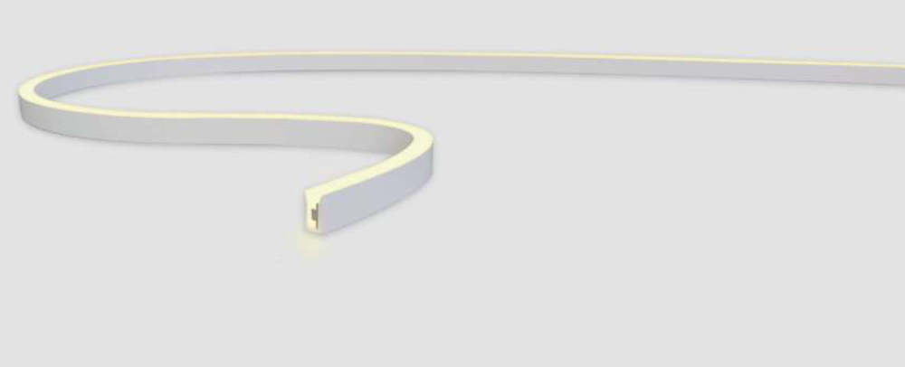 PROTEUS FLEX NANO