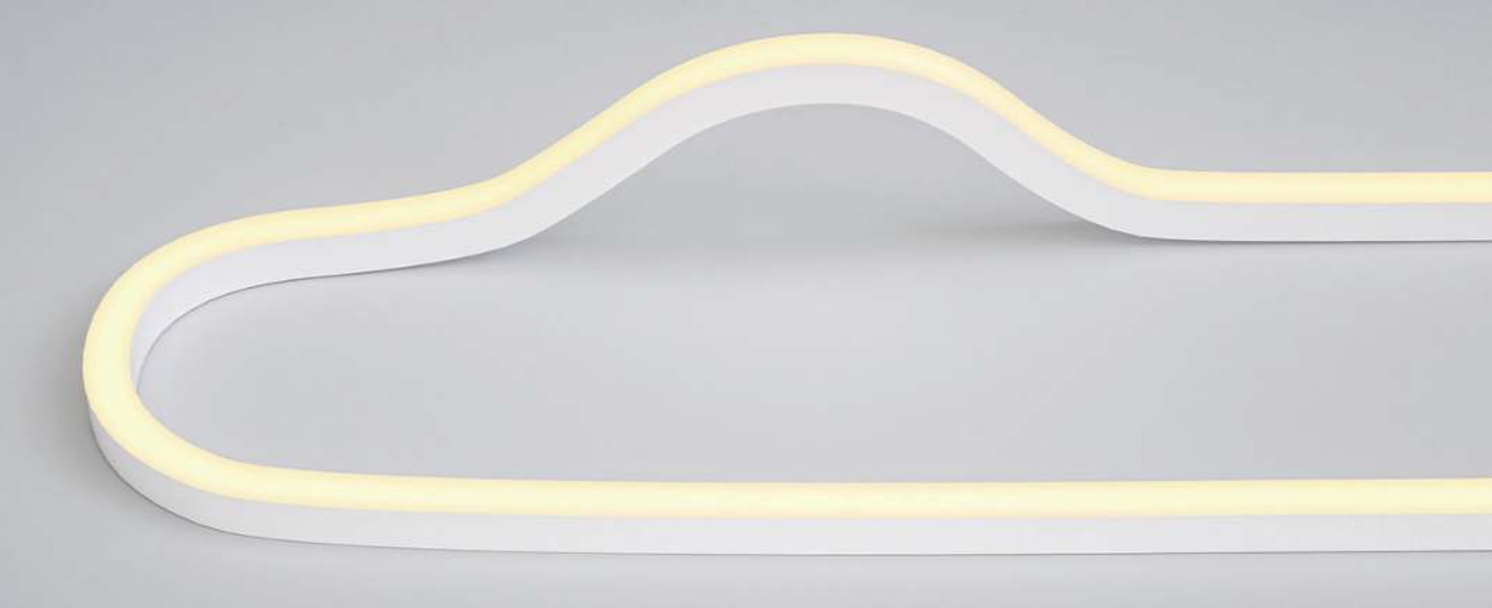 PROTEUS FLEX 3D